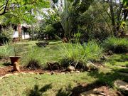 Garden and trees